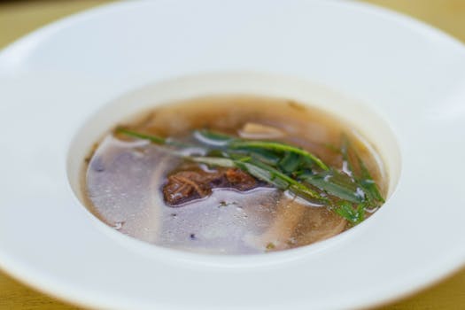 warm bowl of bone broth with herbs