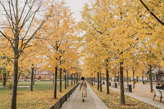 Image of a serene park with people walking