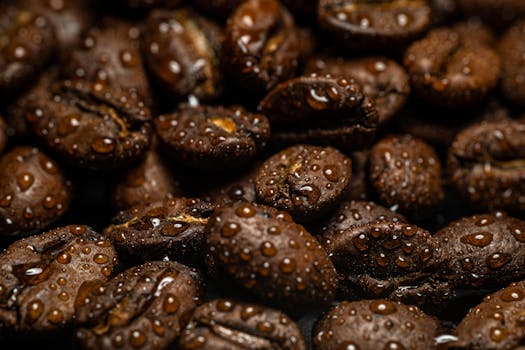 potassium-rich foods